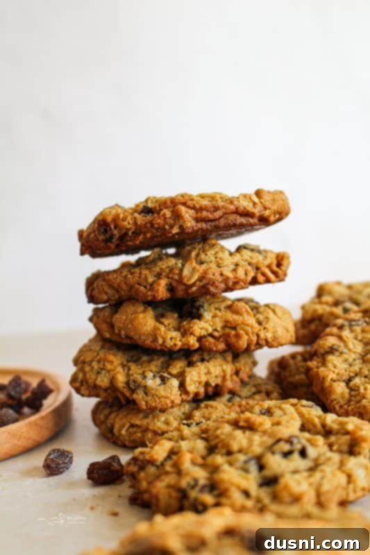 Grandma Jane's Signature Oatmeal Raisin Treats 2 Delicious freshly baked chewy oatmeal raisin cookies on a plate