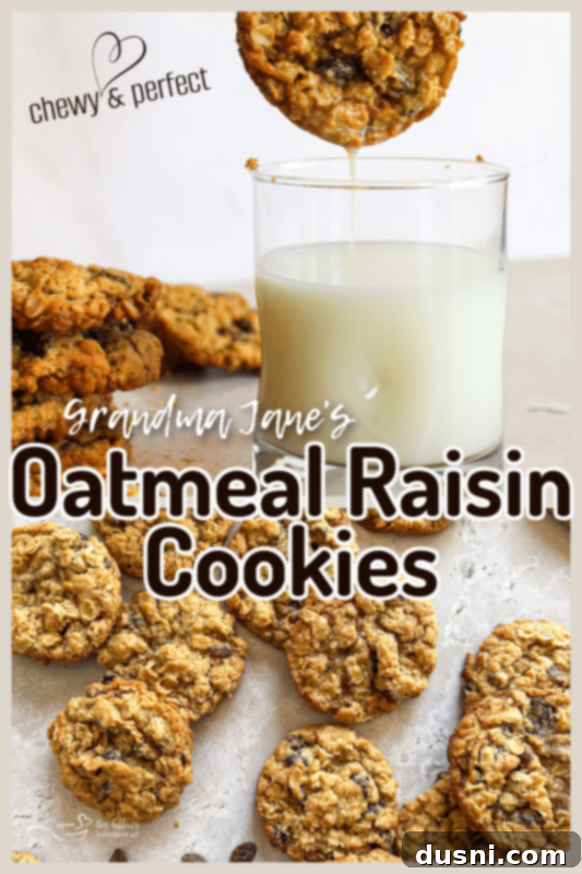 Grandma Jane's Signature Oatmeal Raisin Treats 11 The Best Oatmeal Raisin Cookie Recipe - Pinterest pin graphic