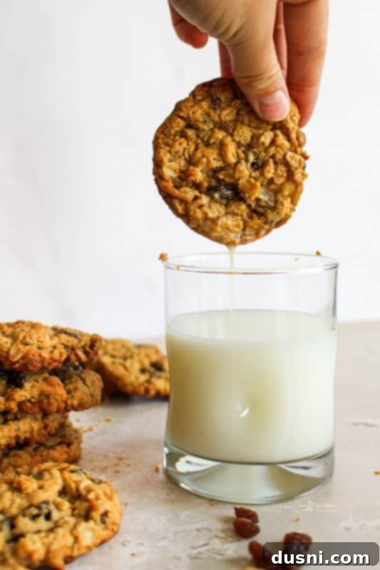 Grandma Jane's Signature Oatmeal Raisin Treats 3 Close-up of golden brown oatmeal raisin cookies