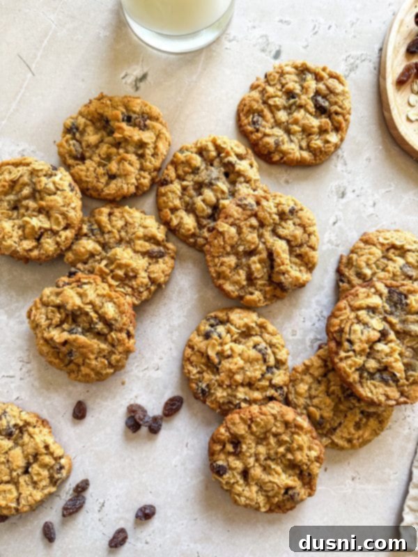 Grandma Jane's Signature Oatmeal Raisin Treats 4 Stacked oatmeal raisin cookies ready to be enjoyed