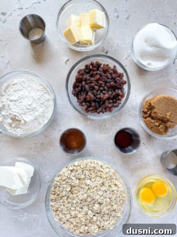 Grandma Jane's Signature Oatmeal Raisin Treats 6 A delicious homemade oatmeal raisin cookie