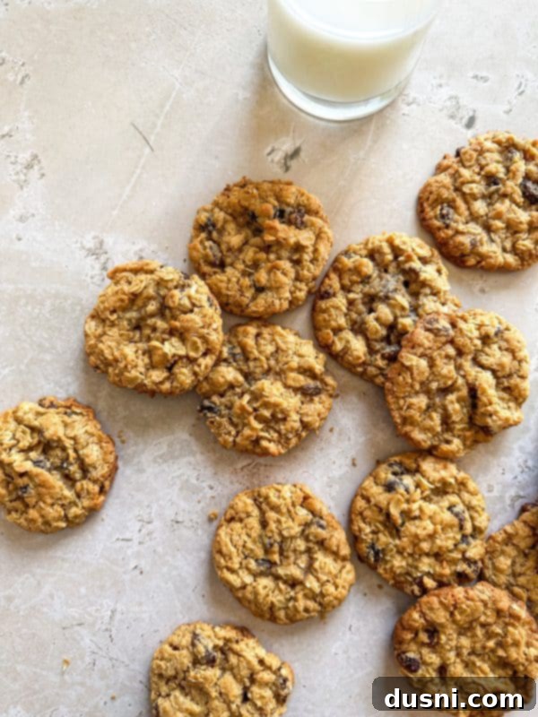 Grandma Jane's Signature Oatmeal Raisin Treats 7 Mixing cookie dough in a stand mixer