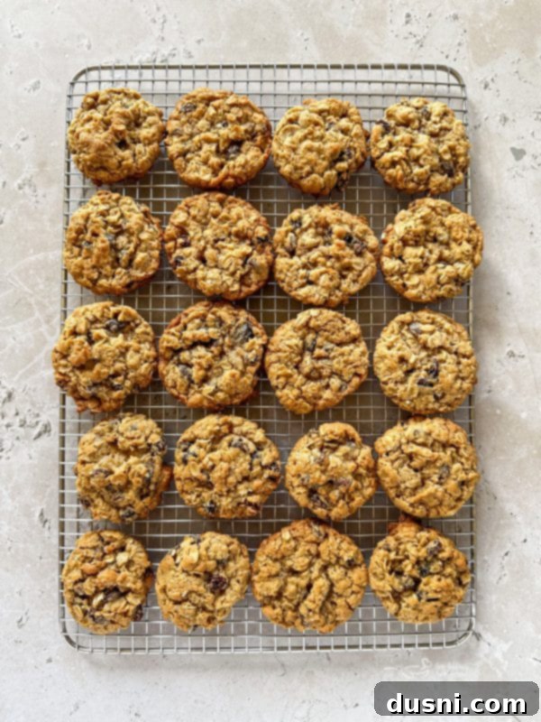 Grandma Jane's Signature Oatmeal Raisin Treats 10 Classic oatmeal raisin cookies cooling on a wire rack