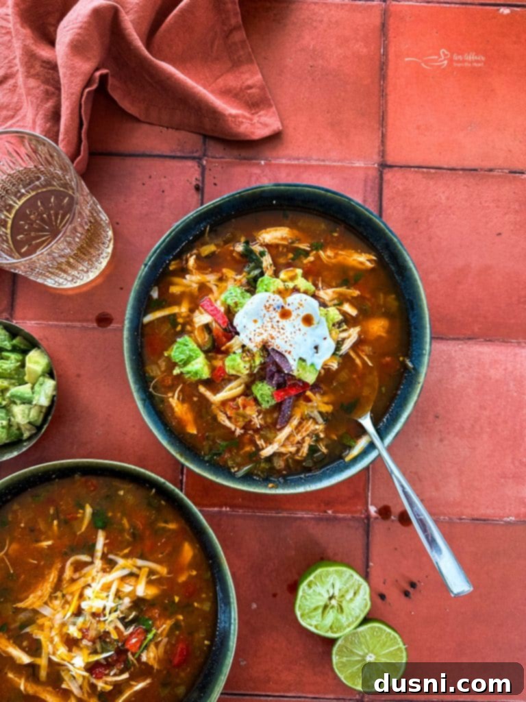 Another enticing shot of Slow Cooker Chicken Enchilada Soup, ready to be served