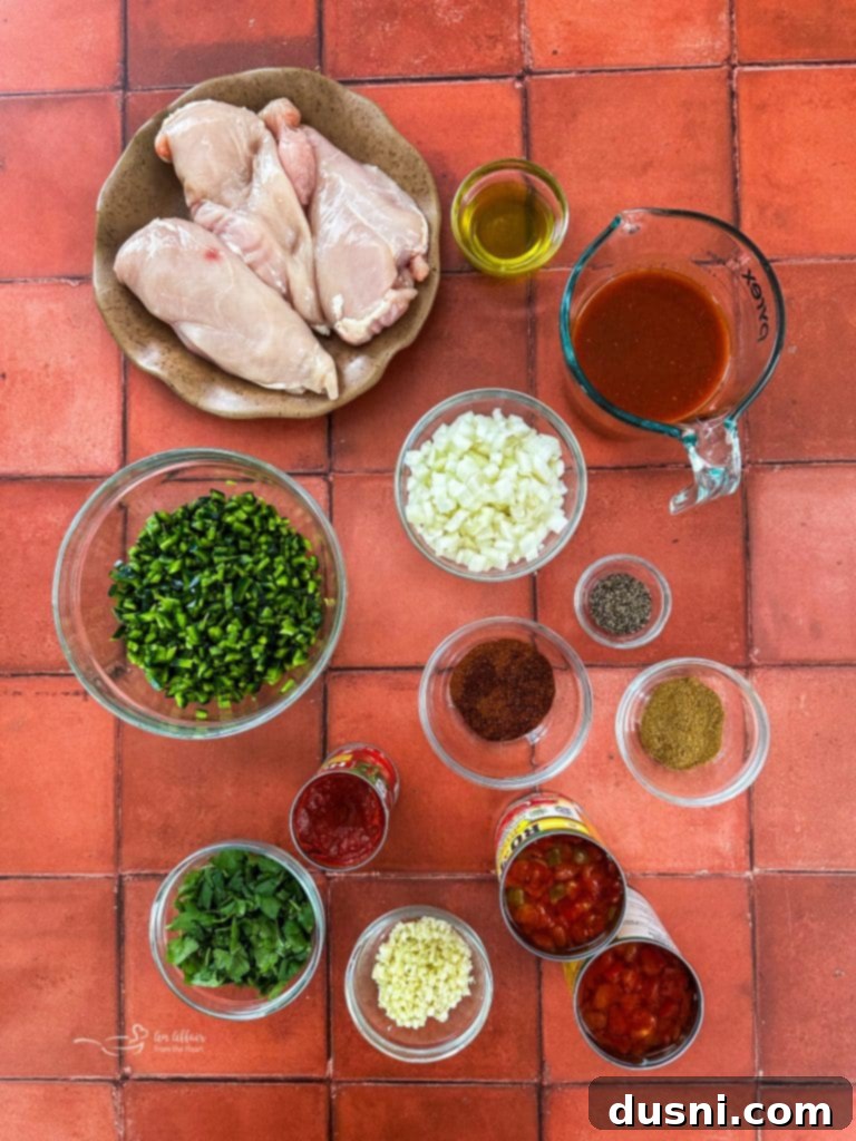 Delicious Slow Cooker Chicken Enchilada Soup served with an array of fresh toppings