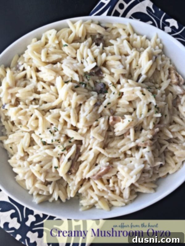 Creamy Mushroom Orzo, a quick and easy pasta dish