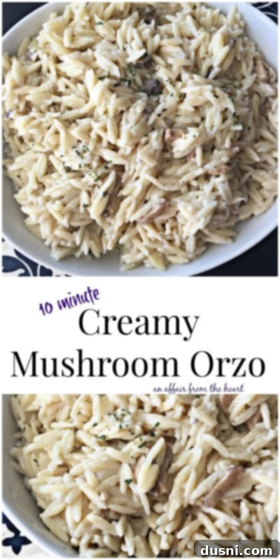 Close-up of creamy orzo pasta with mushrooms