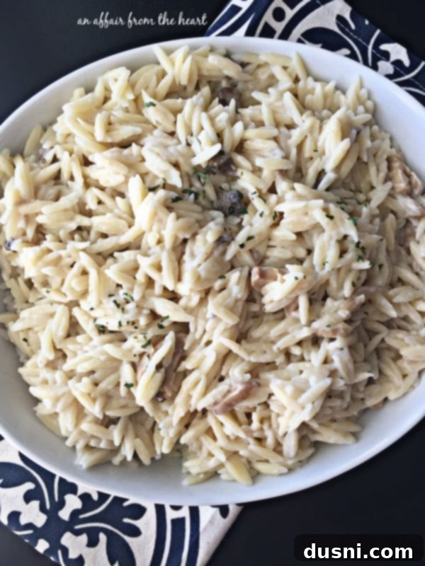 A bowl of Creamy Mushroom Orzo, ready to be served