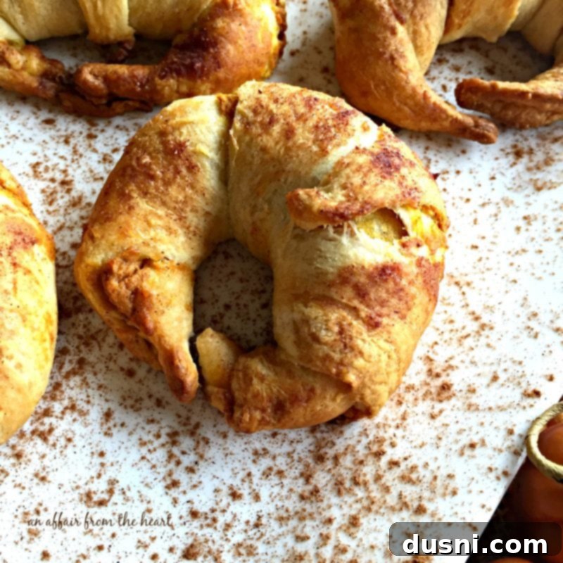 An overhead shot of several golden-brown Pumpkin Pie Croissant Bundles