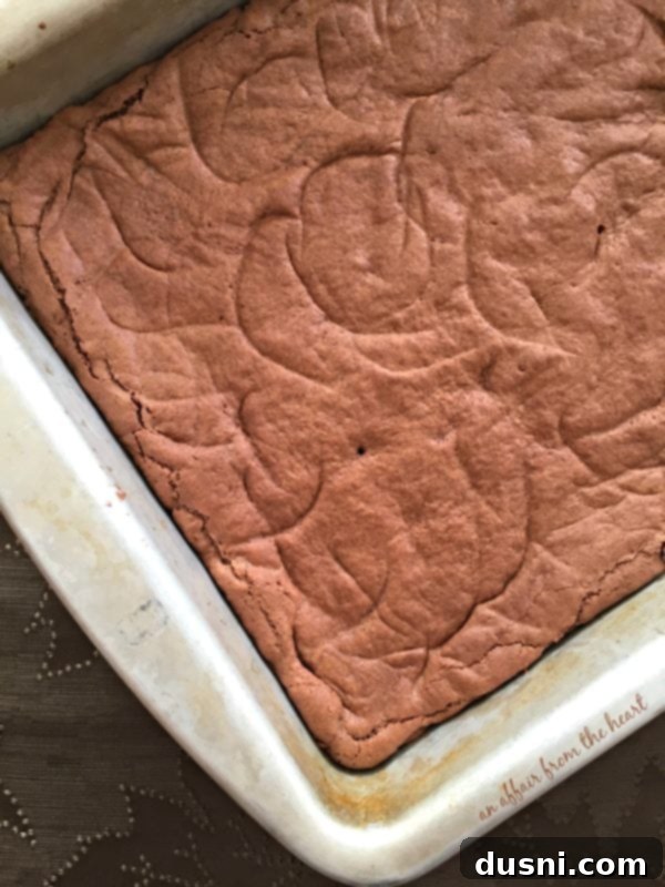 Grandma's Classic Fudgy Brownies 6 Old Fashioned Brownies - batter pressed into a baking pan