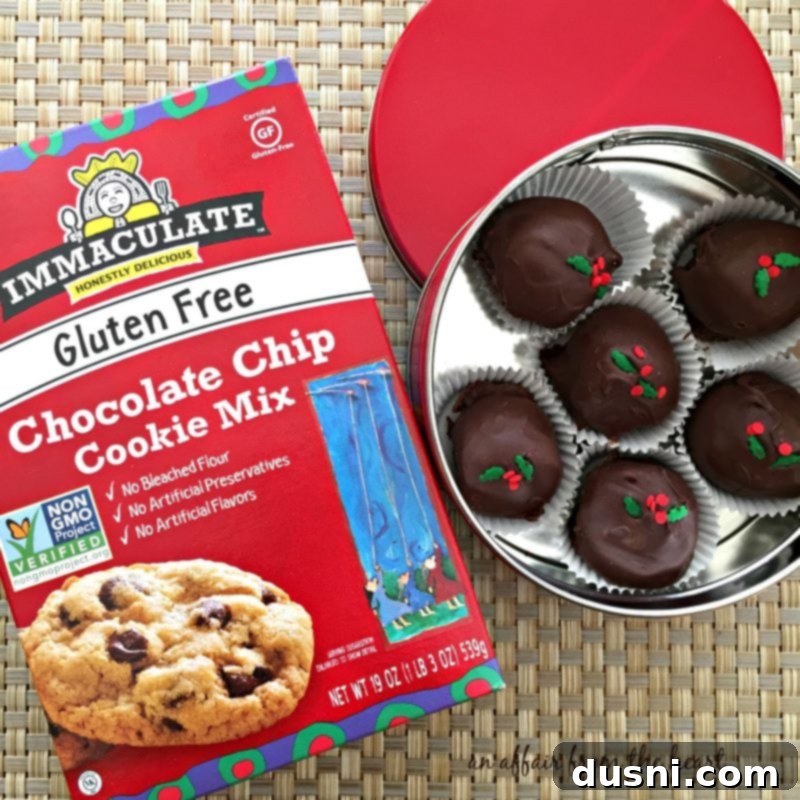 Raw chocolate chip cookie dough mix from Immaculate Baking Company
