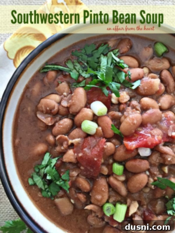Southwestern Pinto Bean Soup - A close-up of a bowl of rich, hearty bean soup garnished with fresh cilantro.