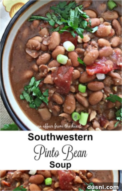 Southwestern Pinto Bean Soup - an affair from the heart - A bowl of the soup, seen from above, garnished with vibrant toppings.