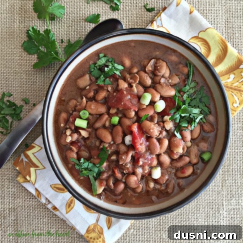 Southwestern Pinto Bean Soup - A vibrant, close-up shot of Southwestern Pinto Bean Soup with various toppings like cheese and cilantro.