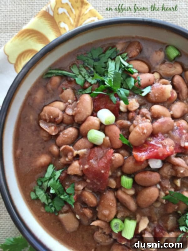 Southwestern Pinto Bean Soup - Another perspective of the soup in a bowl, with a focus on the beans and broth.