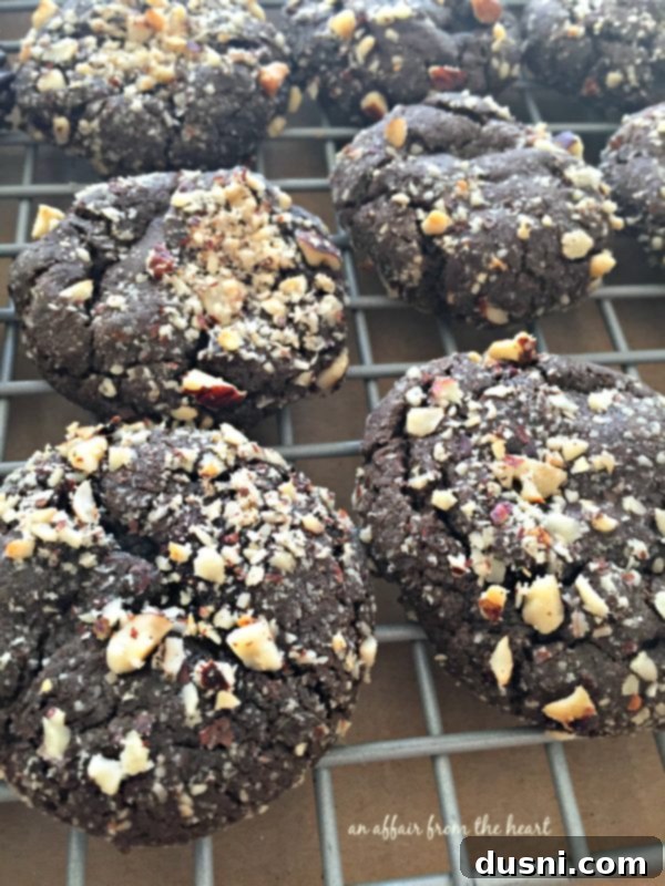 Dark Chocolate Molasses Cookies with hazelnuts and chocolate jimmies