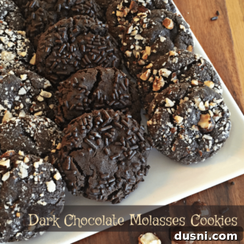 Close-up of a soft Dark Chocolate Molasses Cookie