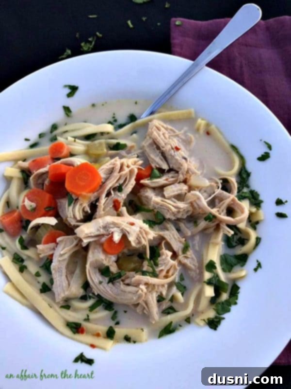 Spicy Chicken Noodle Soup, creamy and garnished with fresh cilantro