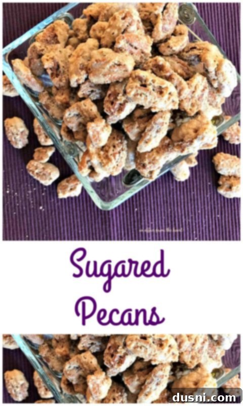 Candied Pecans 3 Close-up of sugared pecans in a decorative bowl, highlighting the texture and sweet coating. Titled 'Sugared Pecans - An Affair from the Heart'.