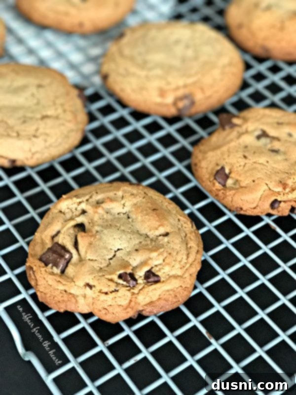 Irresistible Peanut Butter Chocolate Chunk Cookies 3 Close-up of freshly baked Peanut Butter Chocolate Chunk Cookies