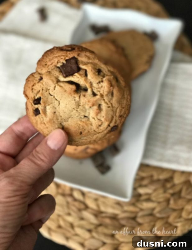 Irresistible Peanut Butter Chocolate Chunk Cookies 6 Peanut Butter Chocolate Chunk Cookies in various sizes