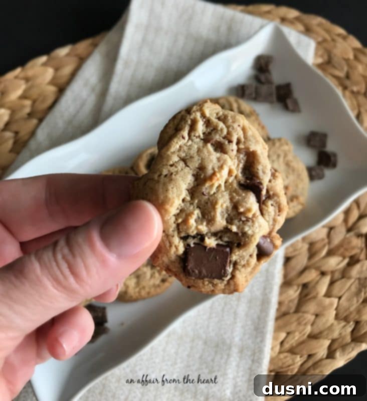 Irresistible Peanut Butter Chocolate Chunk Cookies 7 Peanut Butter Chocolate Chunk Cookies, a perfect dessert