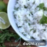 overhead of Cilantro Lime Rice