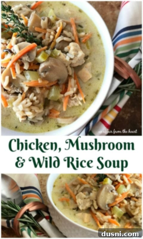 Close-up of Chicken, Mushroom & Wild Rice Soup with a spoon, highlighting the texture and ingredients.