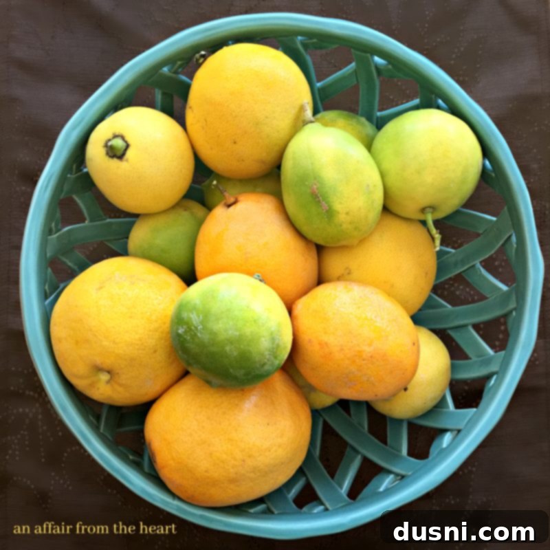 Zesty Glazed Lemon Squares 4 img 7870 3