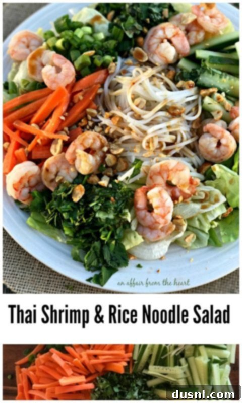Thai Shrimp & Rice Noodle Salad - An Affair from the Heart