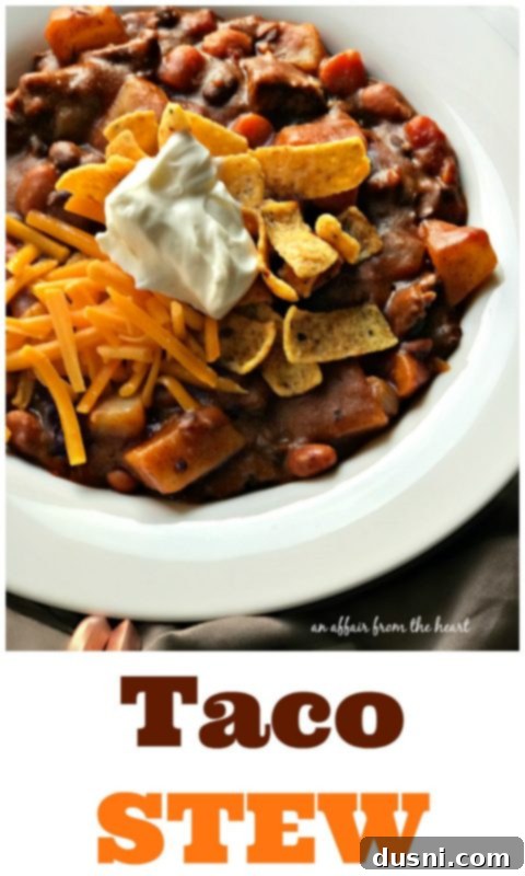 Taco Stew - An Affair from the Heart