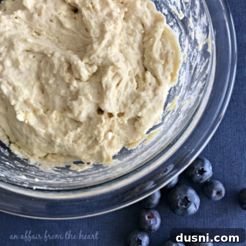 Blueberry Streusel Sweet Pizza 7 Blueberry Streusel Dessert Pizza