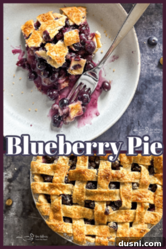 Golden Baked Blueberry Bliss 13 Homemade blueberry pie with text 'Blueberry Pie - An Affair From The Heart'