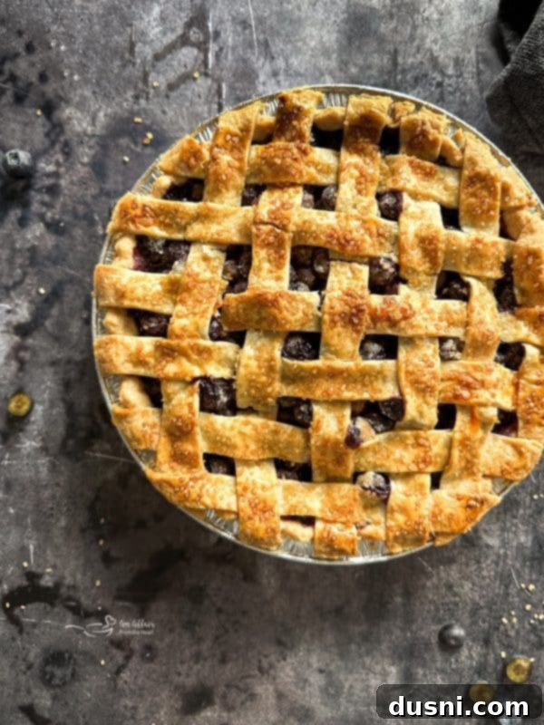 Golden Baked Blueberry Bliss 3 Freshly baked blueberry pie cooling on a rack