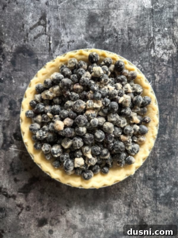 Golden Baked Blueberry Bliss 8 Mixing blueberries with sugar, cinnamon, and flour