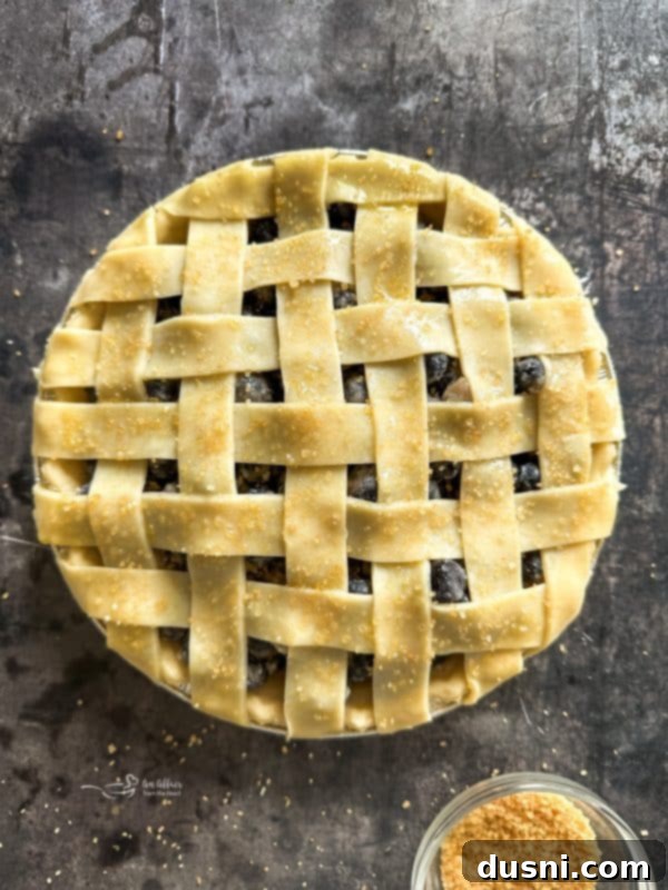 Golden Baked Blueberry Bliss 10 Blueberry pie with a lattice top crust