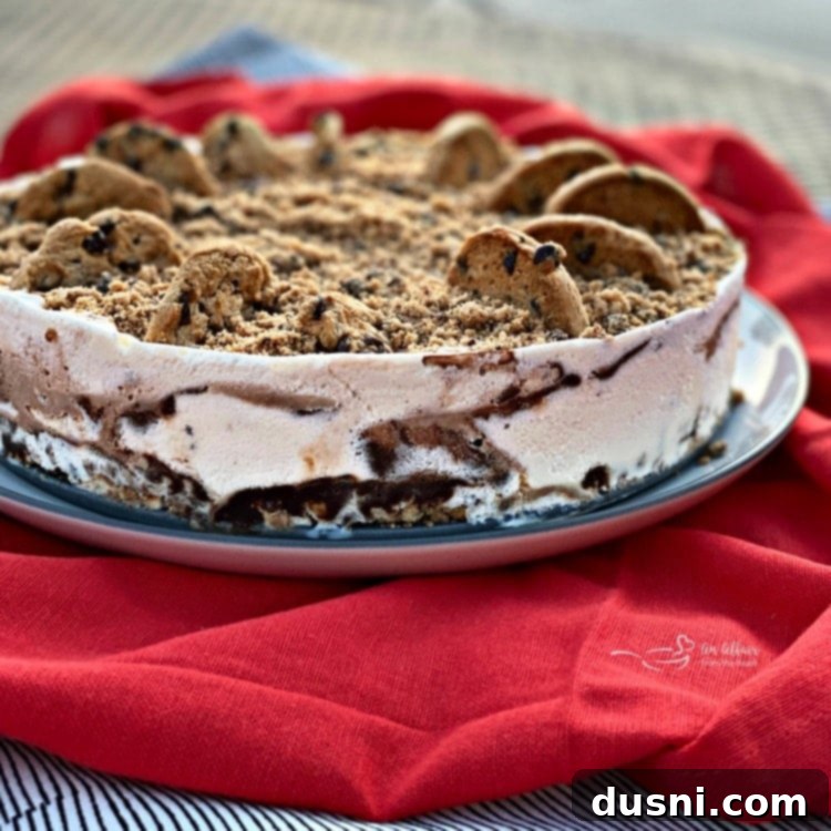 Buttery Shortbread Ice Cream Cookie Cake 17 Side view of a chocolate chip cookie dough ice cream cake with visible layers.