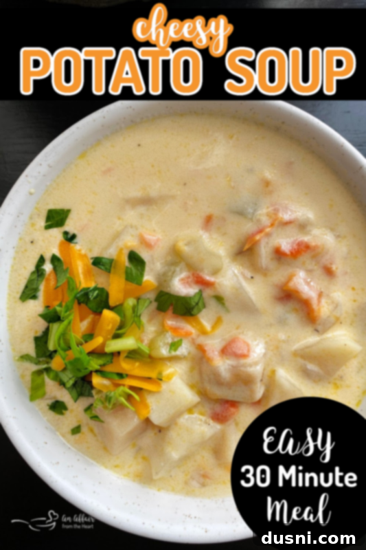 Top view of cheesy potato soup in white bowl
