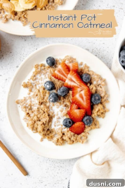 Hero image for Instant Pot Cinnamon Oatmeal, showing a bowl with berries and nuts.