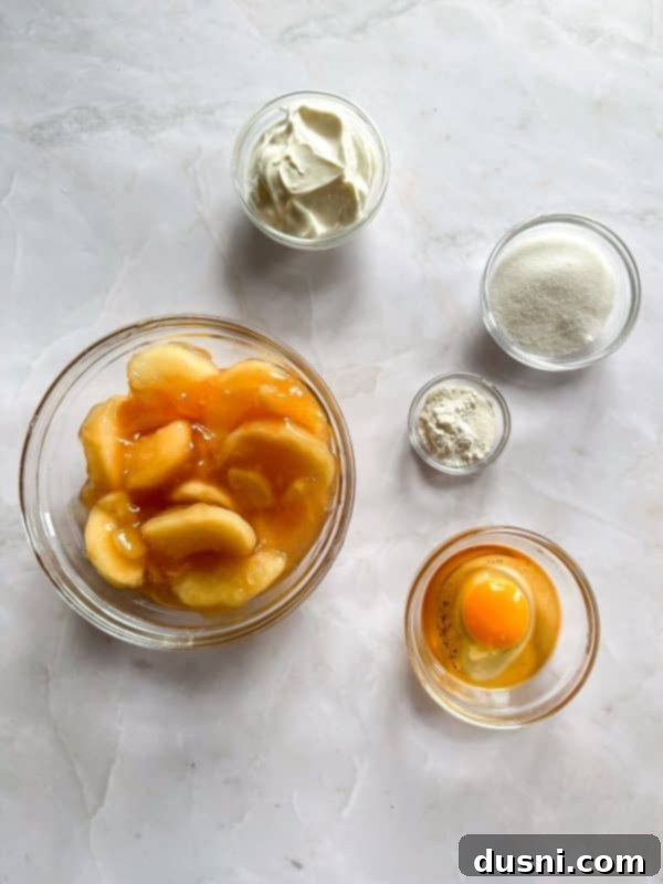 Close-up of dry ingredients for the crust in a mixing bowl before butter is added