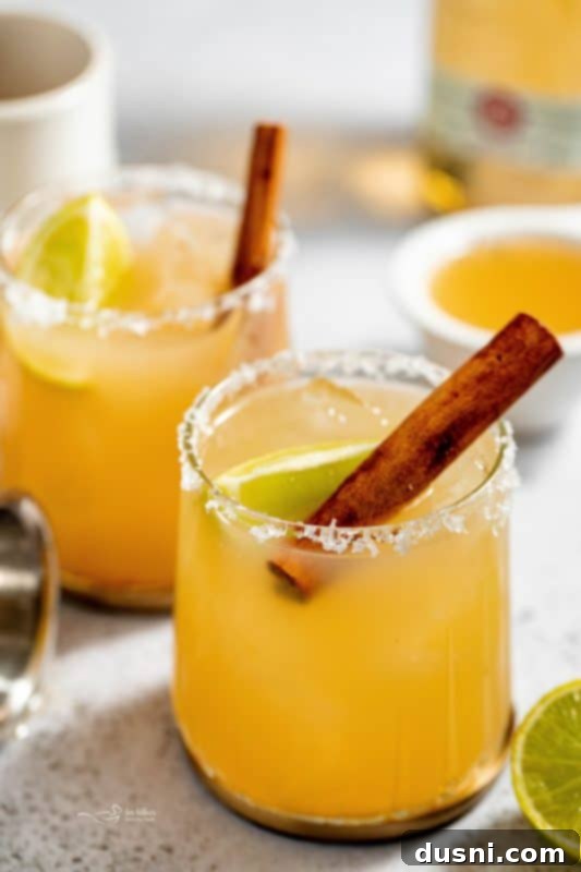 Apple Cider Margarita 2 A vibrant Apple Cider Margarita garnished with a cinnamon stick.