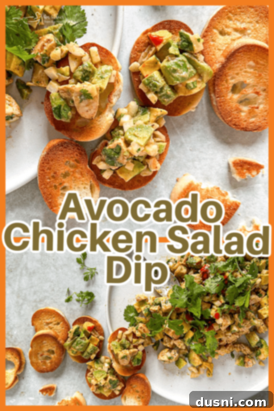 Irresistible Avocado Chicken Salad Dip 12 A graphic for Avocado Chicken Salad Dip with text