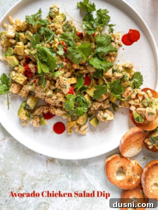 Irresistible Avocado Chicken Salad Dip 17 Avocado Chicken Salad Dip served in a large bowl, with a small serving on a plate with crackers and other dippers.