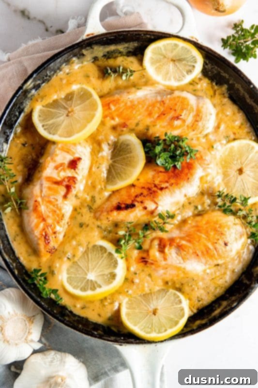 Zesty Lemon Chicken Dinner in 30 Minutes 2 Tender Lemon Chicken in a Skillet