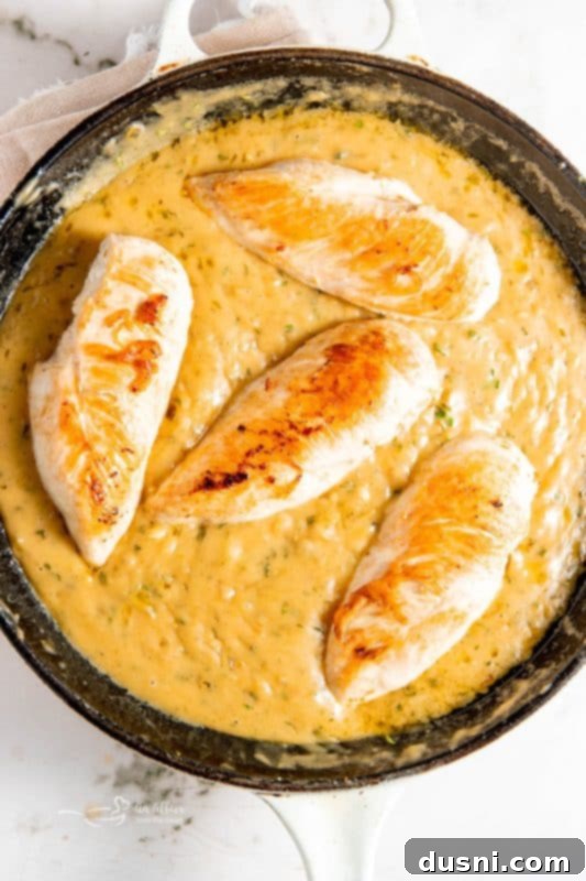 Zesty Lemon Chicken Dinner in 30 Minutes 13 Lemon Chicken Ready to Serve