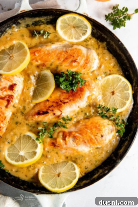 Zesty Lemon Chicken Dinner in 30 Minutes 15 Lemon Chicken Garnish with Herbs