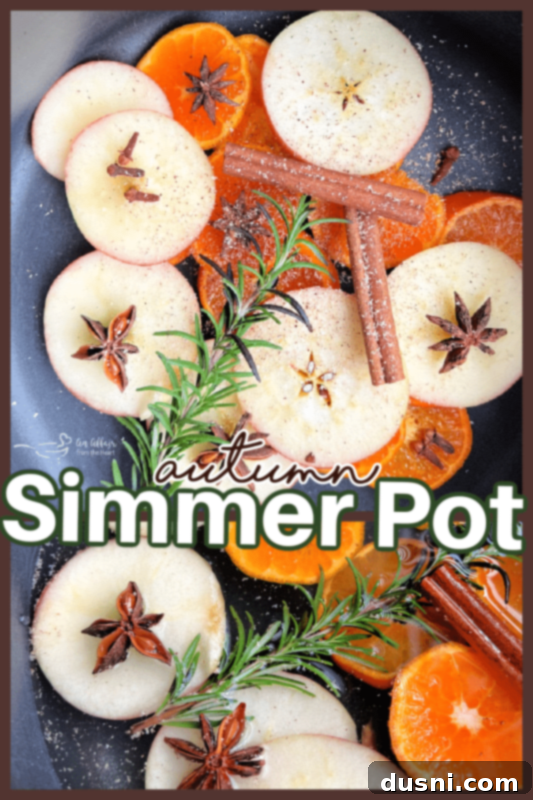 Mis Kokulu Sonbahar Demlemesi Nasıl Hazırlanır 6 Finished Autumn Simmer Pot on a stovetop