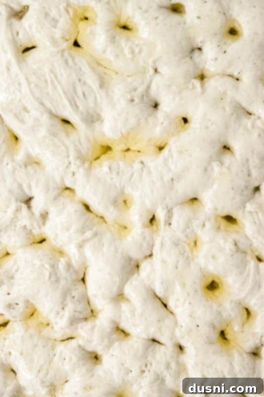 Step 6: Dimpling the focaccia dough and adding toppings