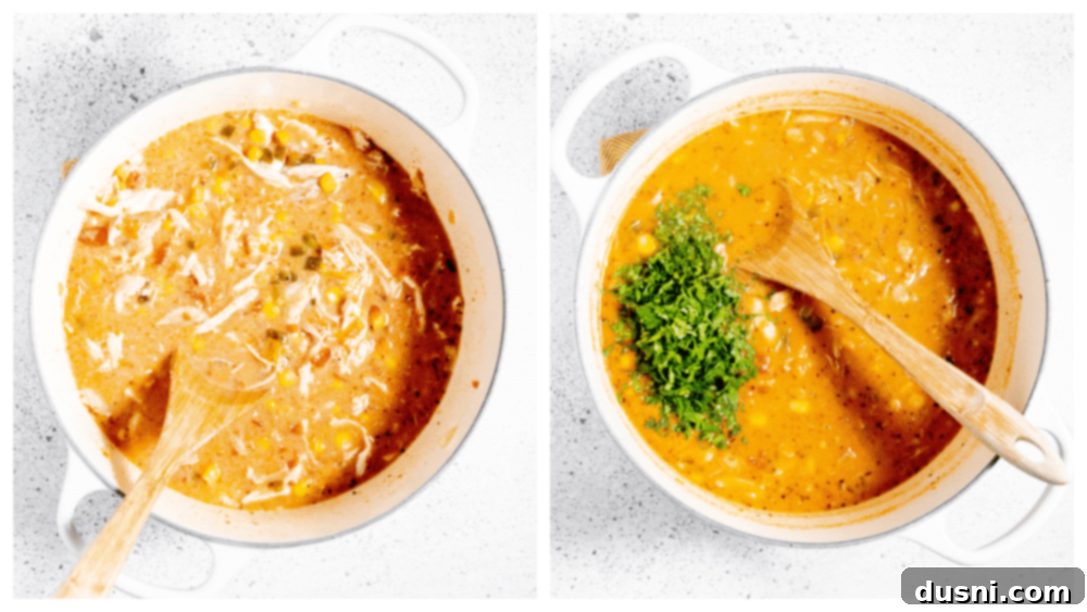 Zesty Mexican Leftover Turkey Soup 11 Step-by-step image of cilantro stirred into the finished soup.