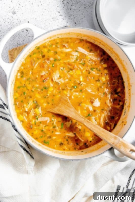 Zesty Mexican Leftover Turkey Soup 12 A rustic bowl of Mexican Style Leftover Turkey Soup with a spoonful being lifted, showing rich texture.